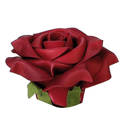Rote Rosenblte zum Valentinstag