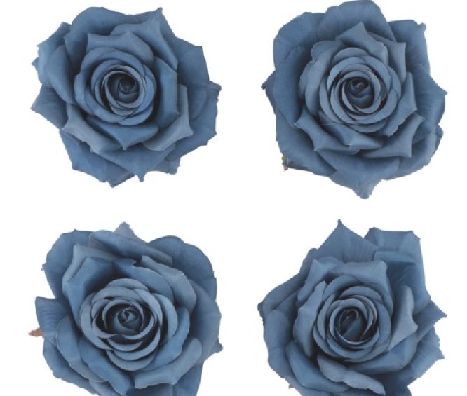 Dekorosen blau 9,5 x 5,5 cm, 4 St�ck