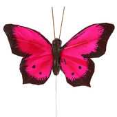 Deko Schmetterling Bicolour PINK