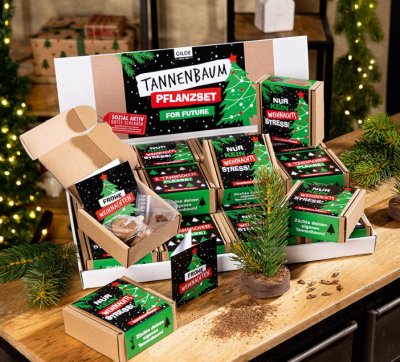 Tannenbaum Pflanzset, 1 Stck