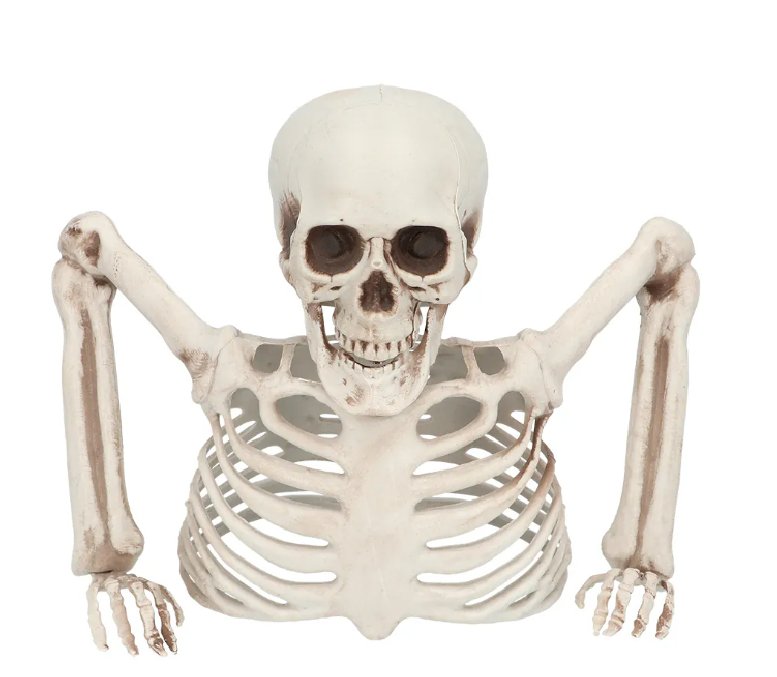 Halloween Skelett Deko