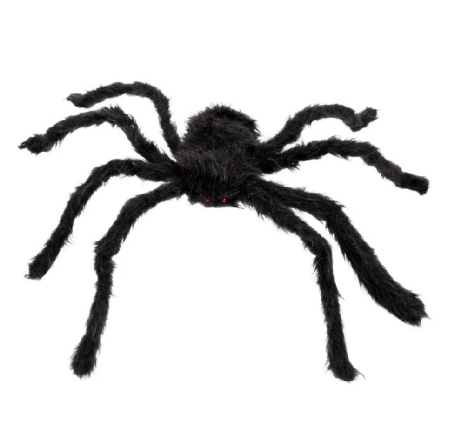 Haarige Spinne Widowmist