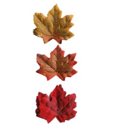 Herbstbltter, 36 Stck