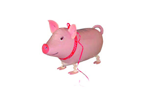 Glcksbringer Schwein als Ballon