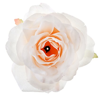 Hochzeit Rosen creme, 4 St�ck