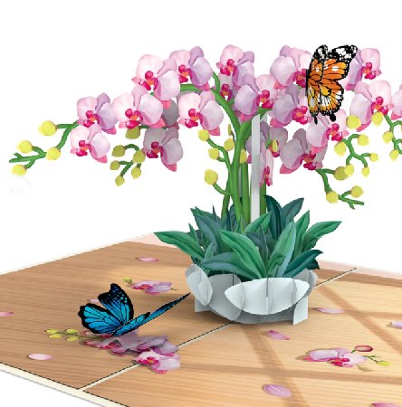 Pop-Up Karte Orchidee mit Schmetterling